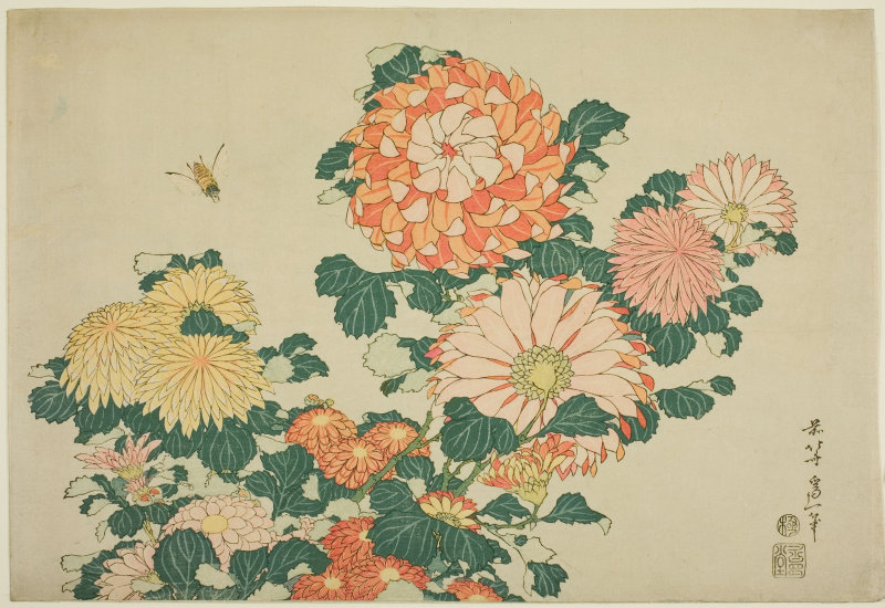 Chrysanthemum and Bee, Katsushika Hokosai