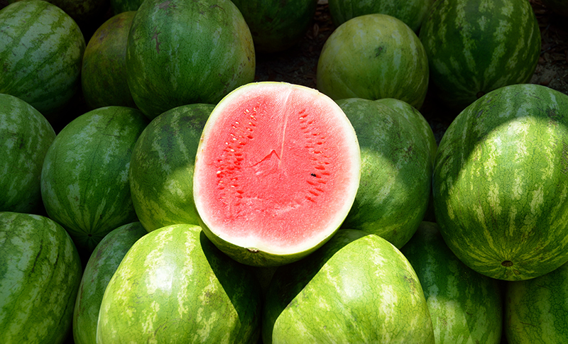 Watermelon and Other Melons