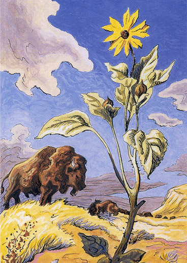 Sunflower and Buffalo