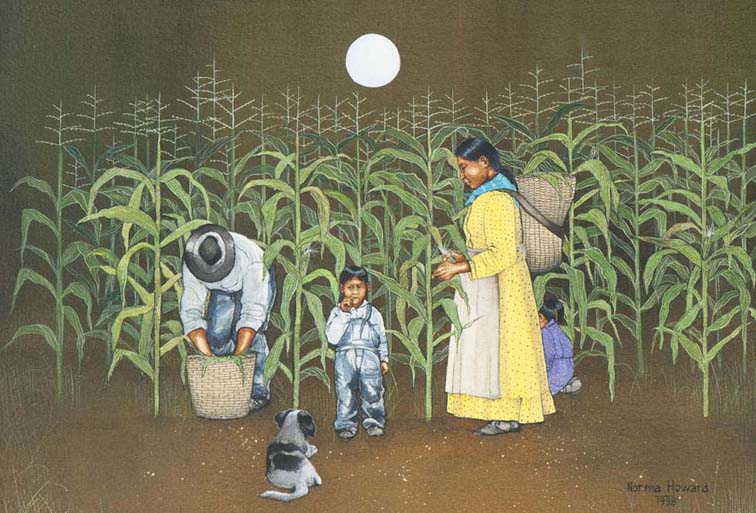 Gathering Corn